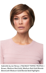 Gabrielle Synthetic Lace Front Wig