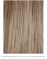 Dawn HF Lace Front Synthetic Wig (Mono-Top)