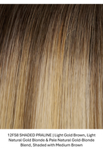 12FS8 SHADED PRALINE | Light Gold Brown, Light Natural Gold Blonde & Pale Natural Gold-Blonde Blend, Shaded with Medium Brown
