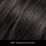 1B/4 | Soft Black Dark Brown