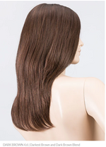 Dark Brown darkest brown dark brown blend by ellen wille