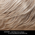 101F48T | Soft White Front, Light Brown with 75% Grey Blend with Soft White Tips