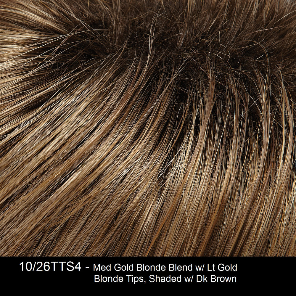 10/26TTS4 | Medium Gold Blonde Blend with Light Gold Blonde Tips, Shaded with Dark Brown