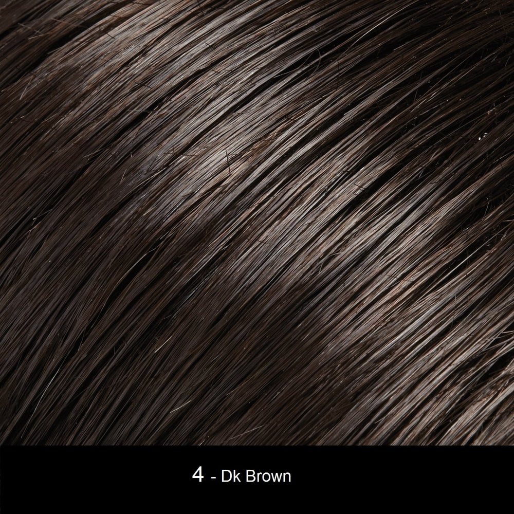 4 Dark Brown Jon Renau Synthetic Hair