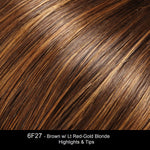 6F27 CARAMEL RIBBON | Dark Brown with Light Red-Gold Blonde Highlights and Tips