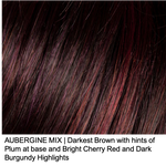 AUBERGINE MIX | Darkest Brown with hints of Plum at base and Bright Cherry Red and Dark Burgundy Highlights