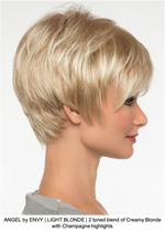 ANGEL by ENVY | LIGHT BLONDE | 2 toned blend of Creamy Blonde with Champagne highlights 