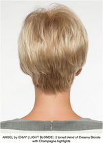 ANGEL by ENVY | LIGHT BLONDE | 2 toned blend of Creamy Blonde with Champagne highlights 