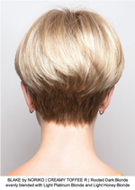 BLAKE by NORIKO | CREAMY TOFFEE R | Rooted Dark Blonde evenly blended with Light Platinum Blonde and Light Honey Blonde 