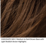 CHOCOLATE MIX | Medium to Dark Brown Base with Light Reddish Brown Highlights 