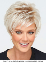 Chic It Up Synthetic Wig (Mono Crown)