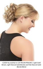 Classy Synthetic Ponytail (Clip-In)