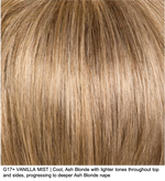 G17+ VANILLA MIST | Cool, Ash Blonde with lighter tones throughout top and sides, progressing to deeper Ash Blonde nape