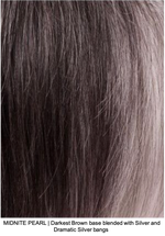 MIDNITE PEARL | Darkest Brown base blended with Silver and Dramatic Silver bangs
