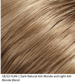 1822 | Dark Natural Ash Blonde & Light Ash Blonde Blend