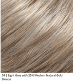 54 | Light Grey with 25% Medium Natural Gold Blonde