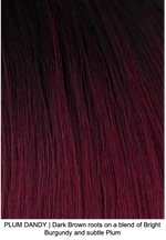 PLUM DANDY | Dark Brown roots on a blend of Bright Burgundy and subtle Plum