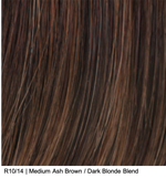 R10/14 | Medium Ash Brown / Dark Blonde Blend