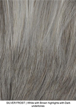 SILVER FROST | White with Brown highlights with Dark undertones