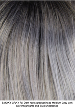 SMOKY GRAY R | Dark Roots blended to Medium Gray with Silver highlights and Blue undertones