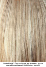 SUGAR CANE | Platinum Blonde and Strawberry Blonde evenly blended base with Light Auburn highlight