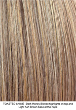 TOASTED SHINE | Dark Honey Blonde highlights on top and Light Ash Brown base at the nape